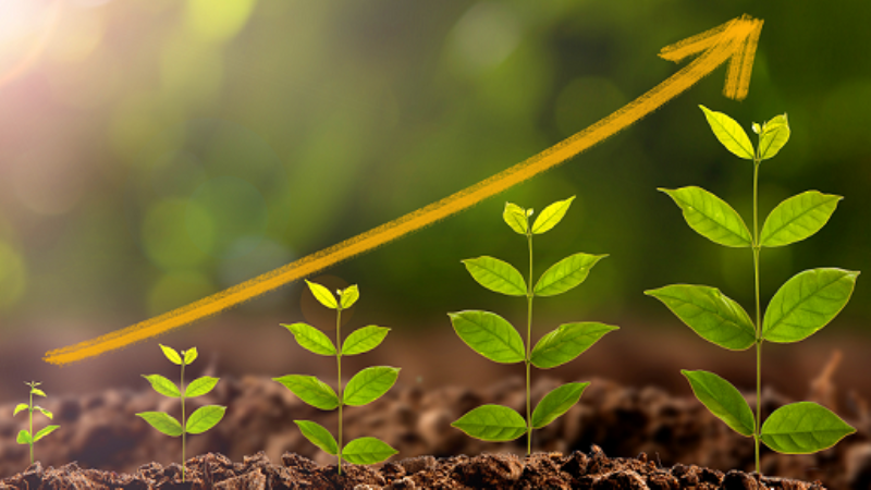 Allica Bank buys AIB SME loan book